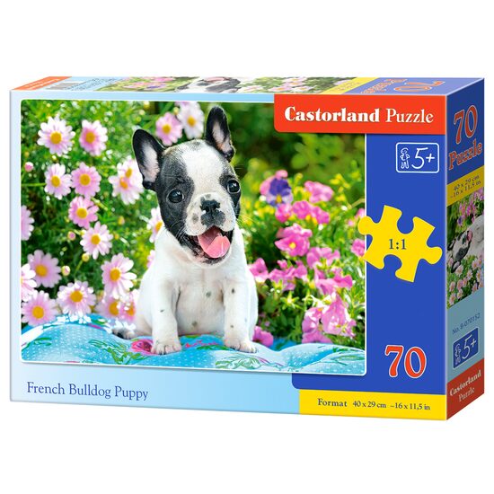 PUZZLE 70 B-070152
