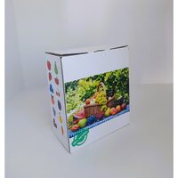 Cutie carton - BAG IN BOX, 5l, alb lucios, DW21065