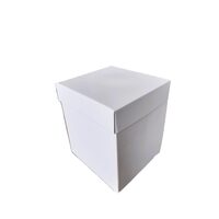 Cutie carton cu capac, 25x25x25 cm, alb lucios, DW21056