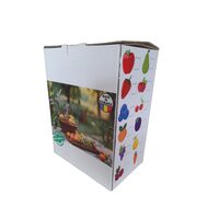 Cutie carton - BAG IN BOX, 3l, printat, DW21063