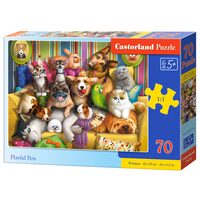 PUZZLE 70 B-070176