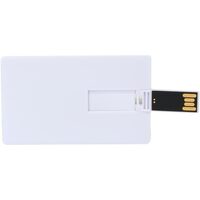 CARD OEM USB 2.0 2 GB ALB OEMPNC2W